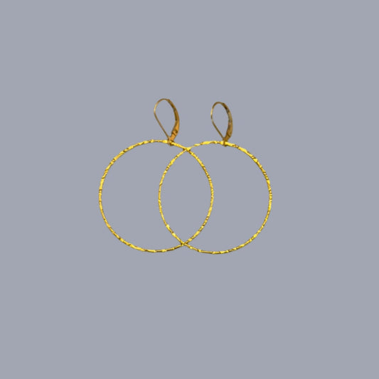 Hoop Earrings in Gold