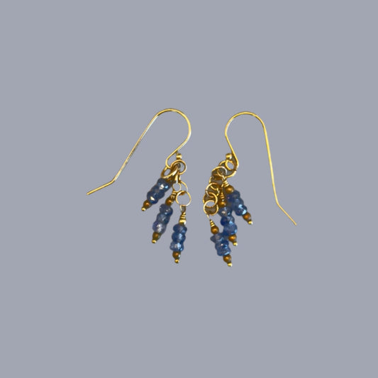 Dangle Earrings in Gold with Iolite