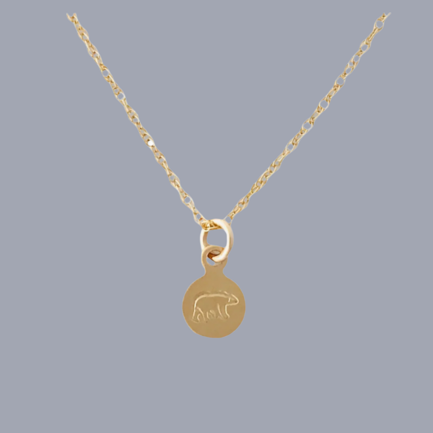 Bear Disc Necklace in Gold